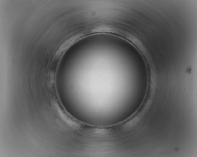 X0000113610849200909251140