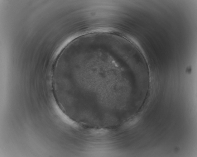 X0000113610851200909251140