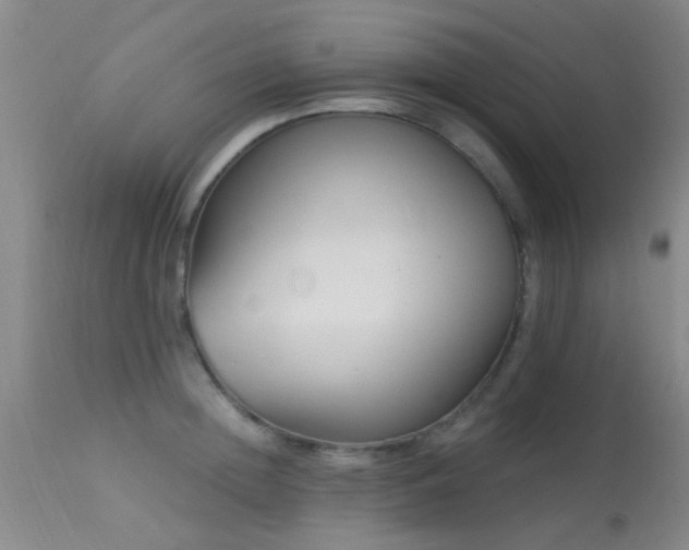 X0000113610852200909251140