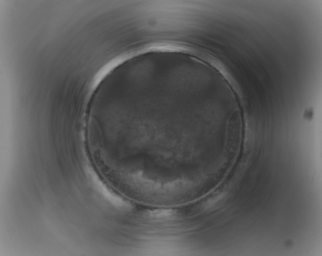 X0000113610853200909251140