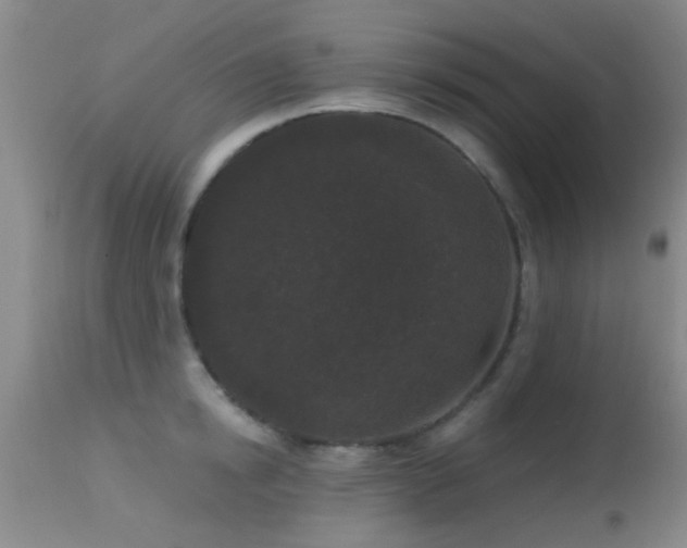 X0000113610854200909251140