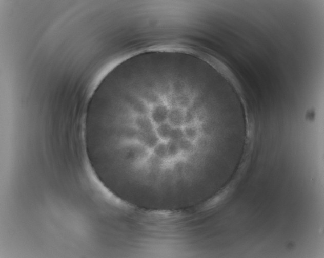 X0000113610855200909251140