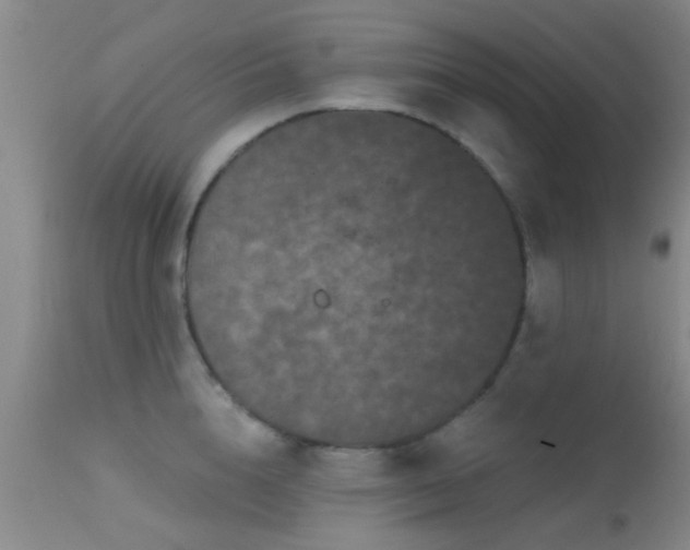 X0000113610856200909251140