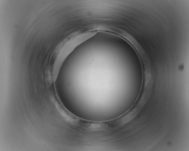 X0000113610857200909251140