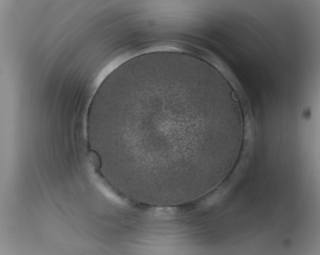 X0000113610858200909251140