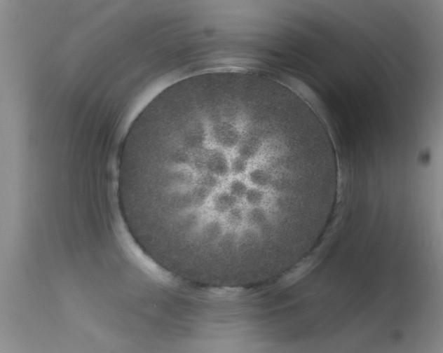 X0000113610859200909251140