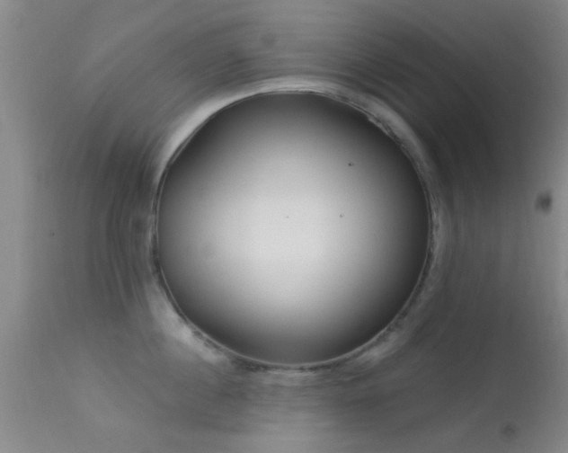 X0000113610860200909251140