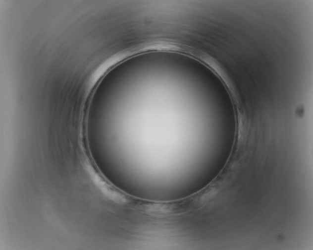 X0000113610861200909251140