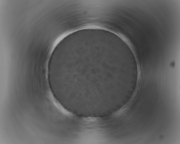 X0000113610862200909251140