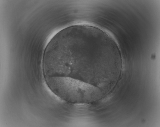 X0000113610863200909251140