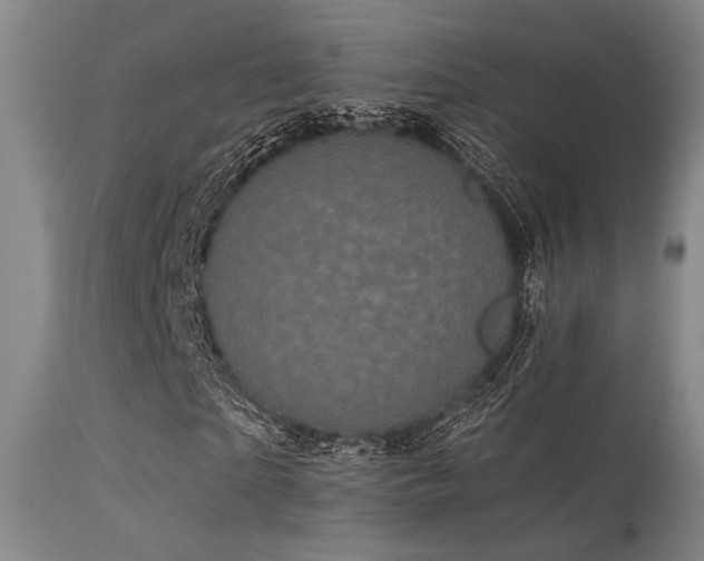 X0000113610865200909251140