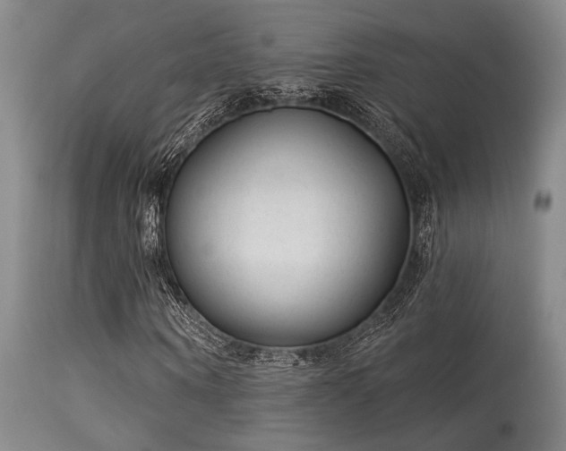 X0000113610866200909251140