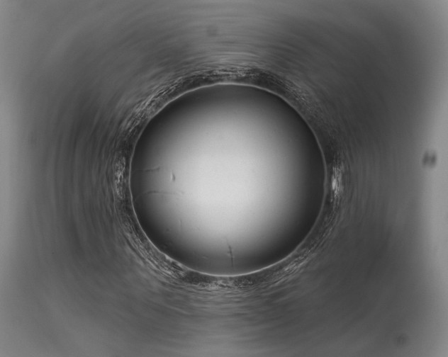 X0000113610867200909251140