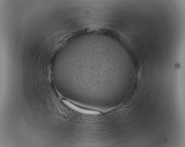 X0000113610868200909251140