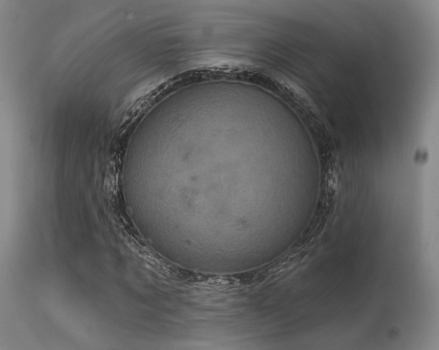 X0000113610869200909251140