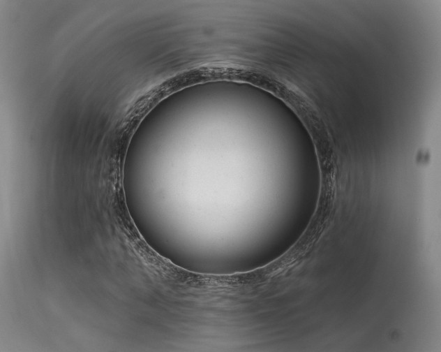 X0000113610870200909251140