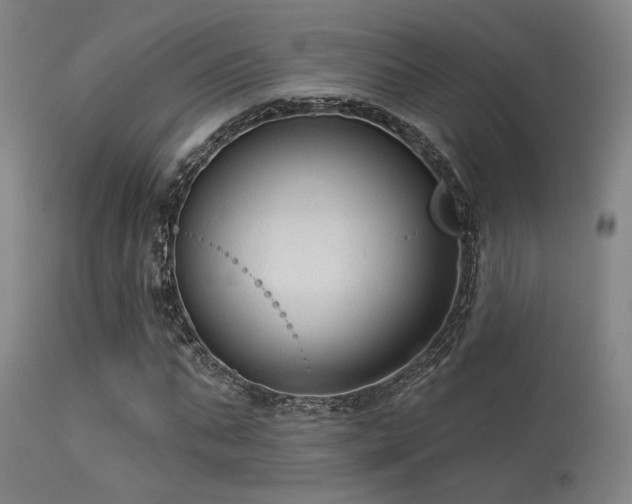 X0000113610871200909251140