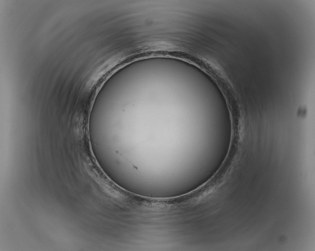 X0000113610873200909251140