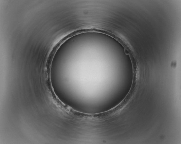 X0000113610876200909251140