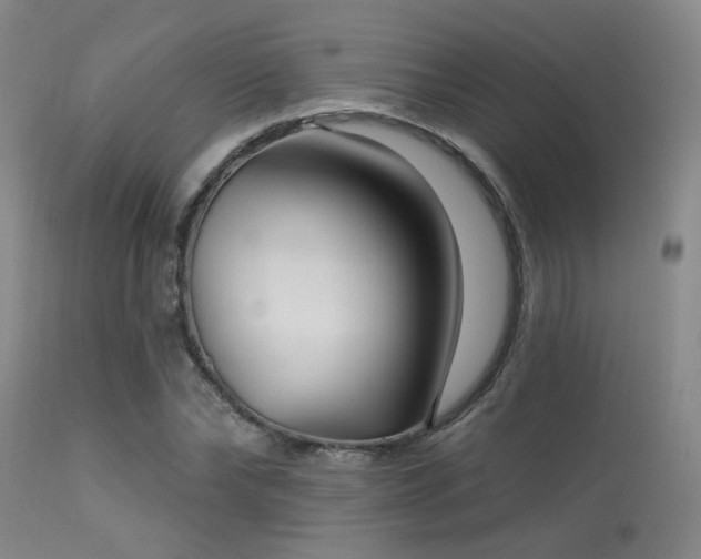 X0000113610878200909251139