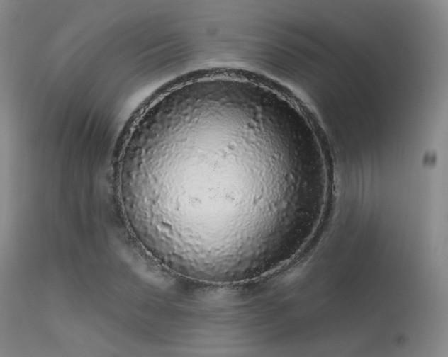 X0000113610879200909251139