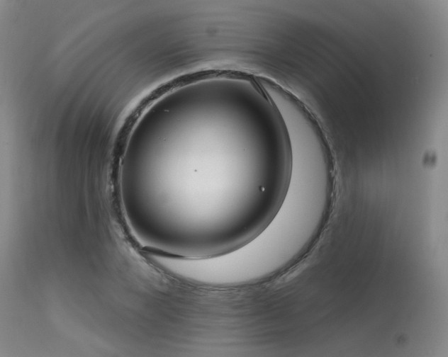 X0000113610880200909251139