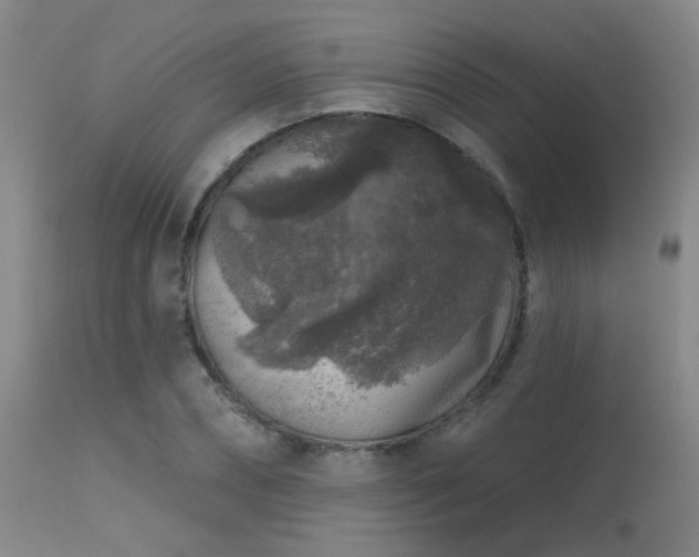 X0000113610882200909251139