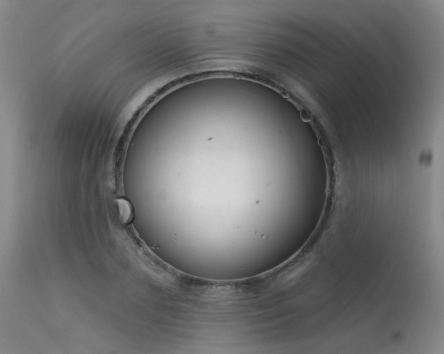 X0000113610883200909251139