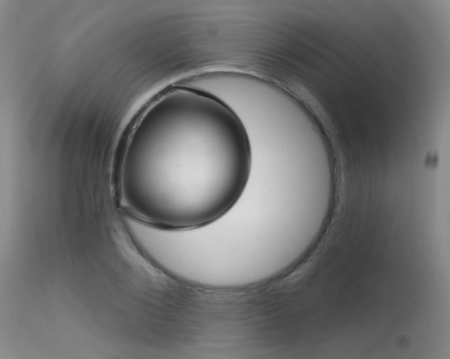 X0000113610884200909251139