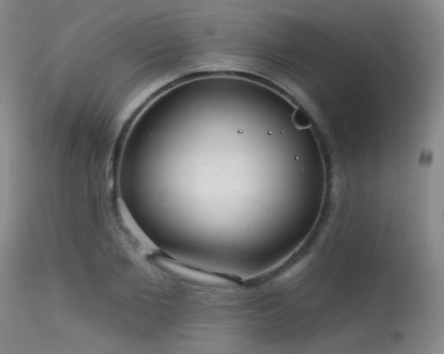 X0000113610885200909251139