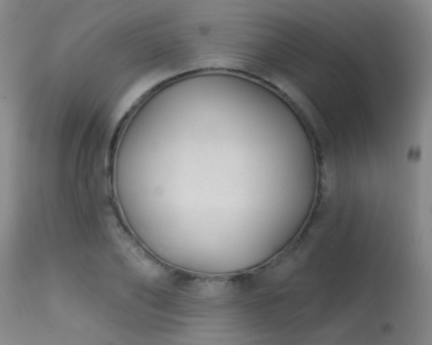 X0000113610886200909251139