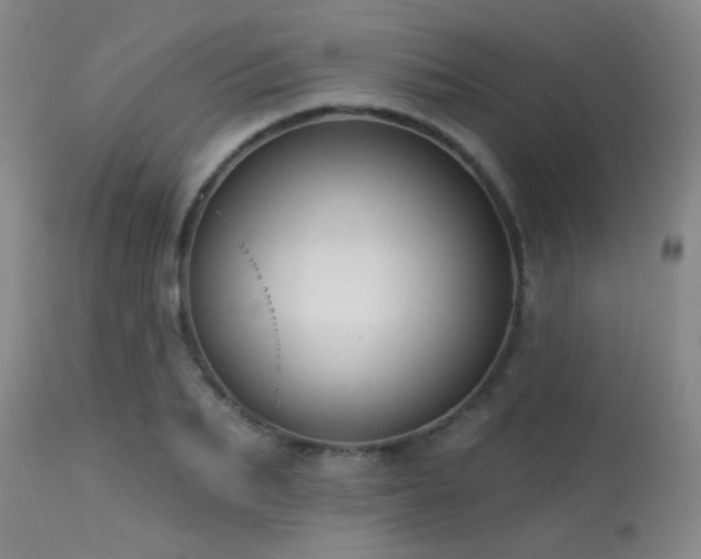 X0000113610887200909251139