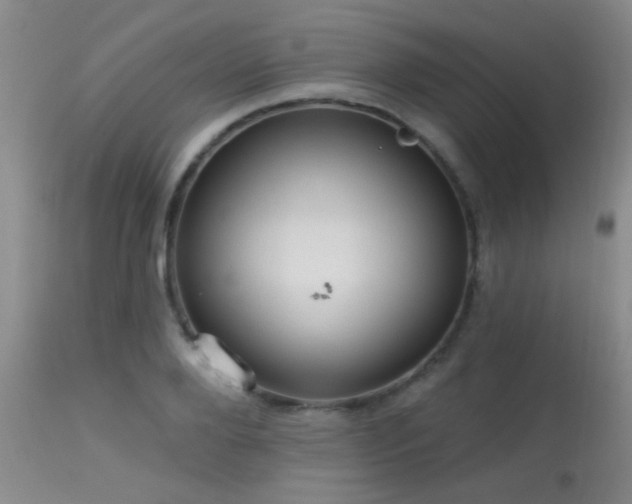 X0000113610888200909251139