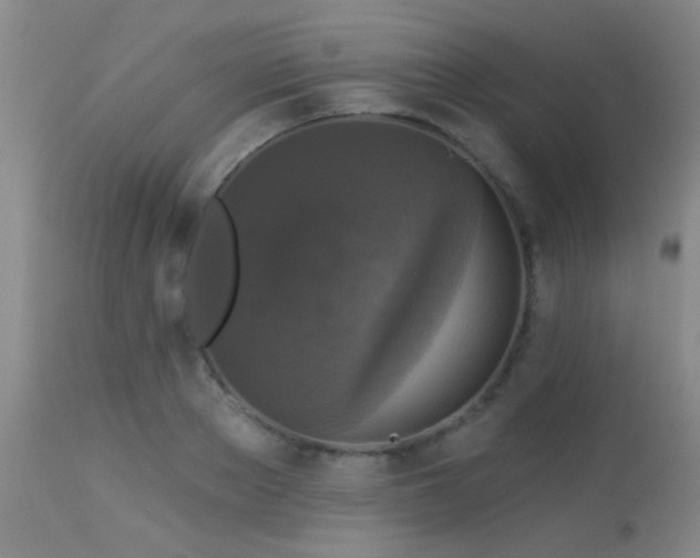 X0000113610889200909251139