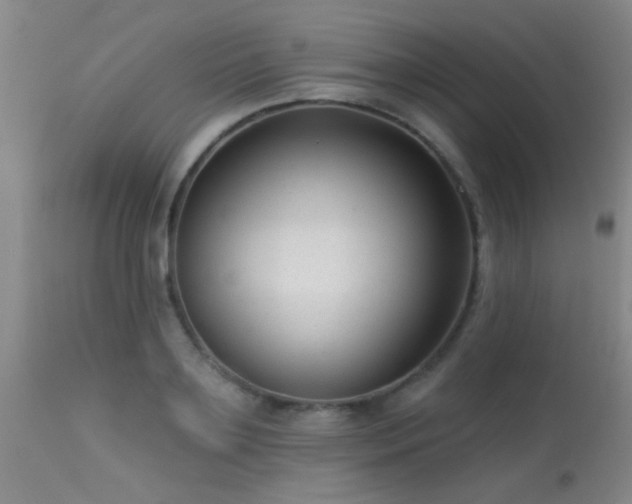 X0000113610891200909251139