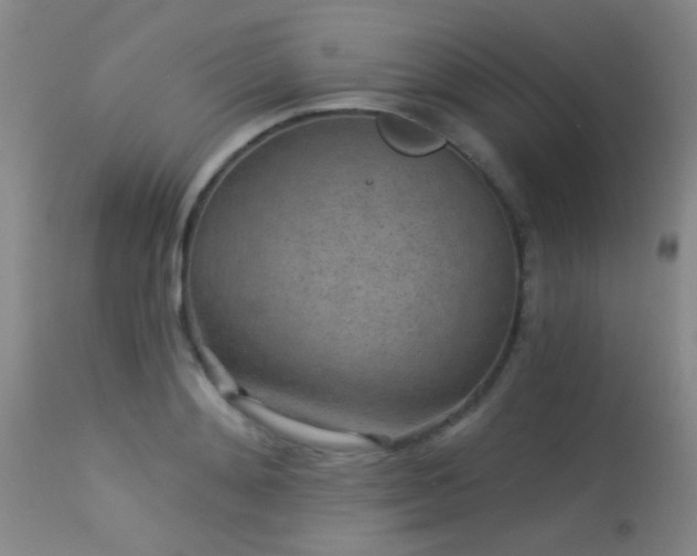 X0000113610892200909251139