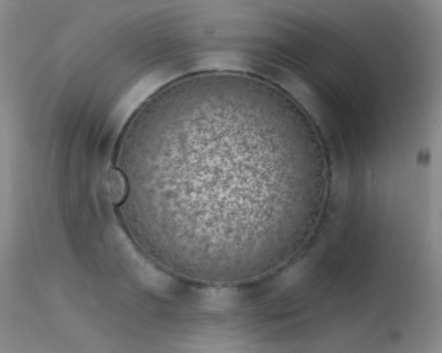 X0000113610893200909251139