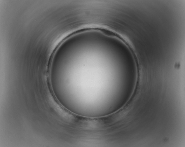 X0000113610895200909251139