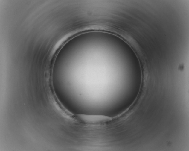 X0000113610896200909251139