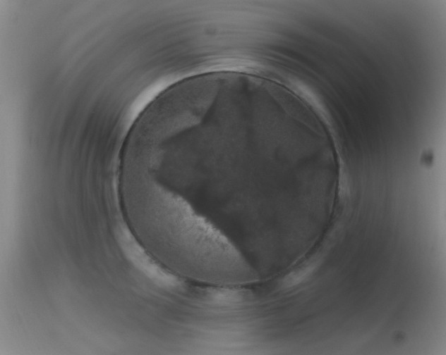 X0000113610899200909251139