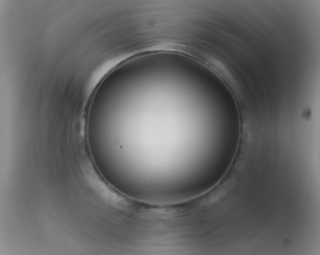 X0000113610900200909251139