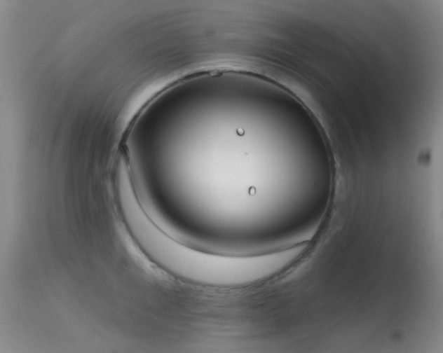 X0000113610901200909251139