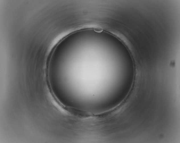 X0000113610902200909251139