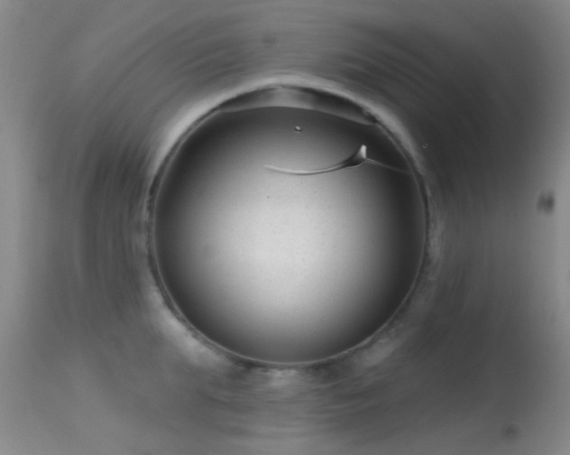 X0000113610903200909251139