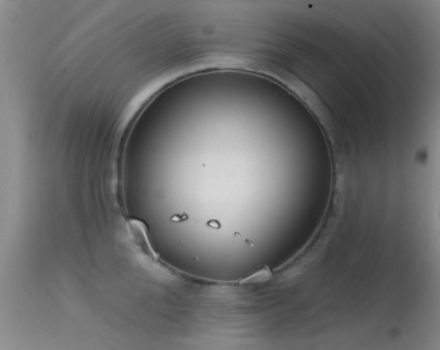 X0000113610904200909251139