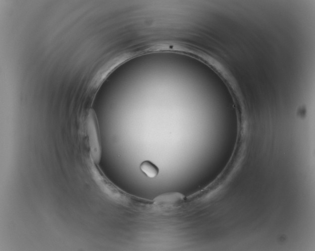 X0000113610905200909251139