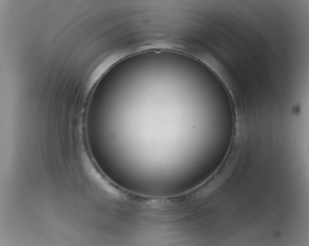 X0000113610906200909251139