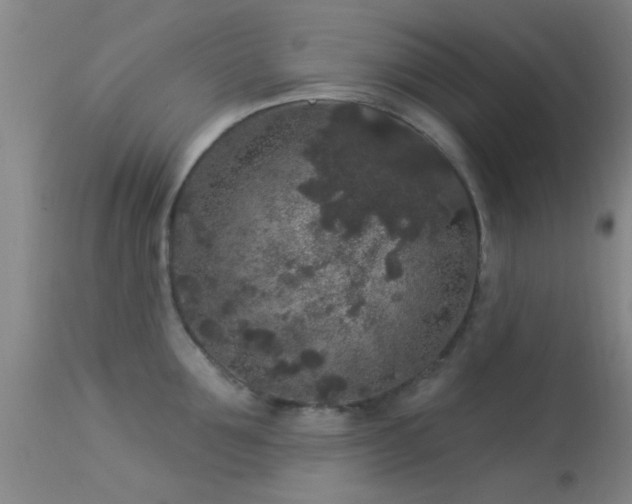 X0000113610907200909251139