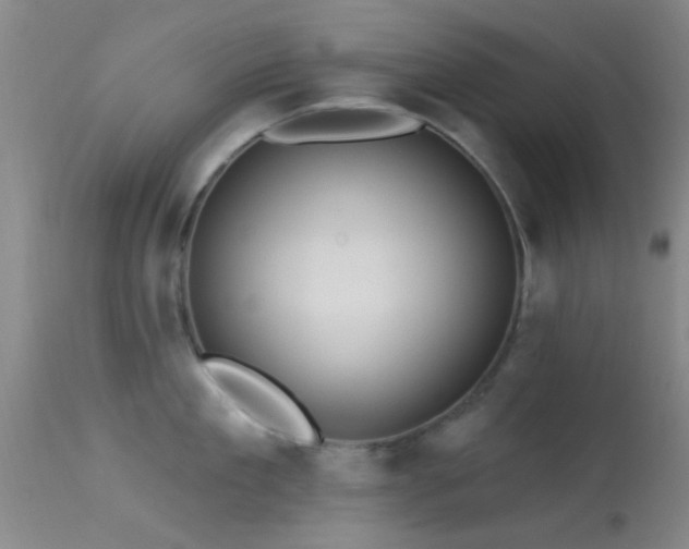 X0000113610909200909251139