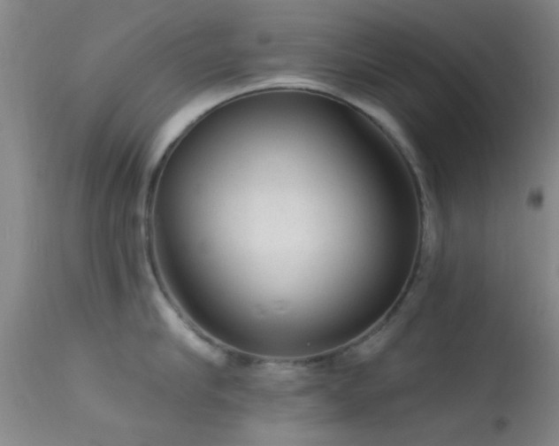 X0000113610910200909251139